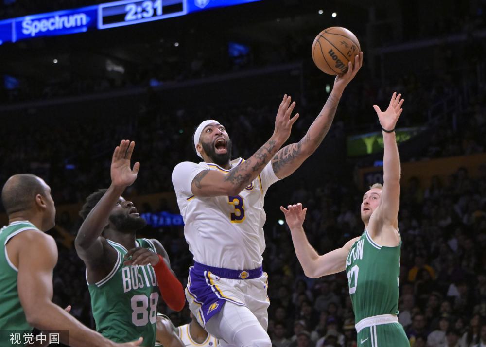 们提供了一 们提供了一